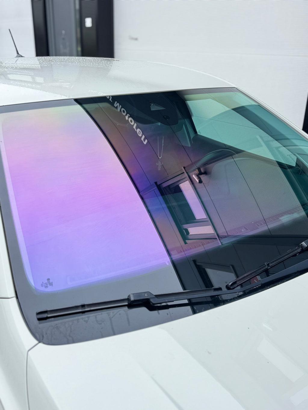 Paarse Chameleon folie